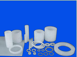 PCTFE gasket