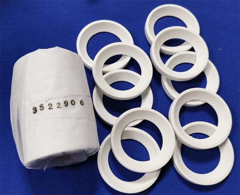 BALL VALVE GASKET 3522906